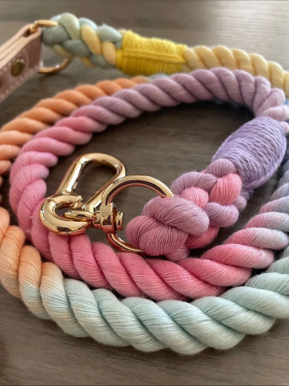 Pastel Rainbow Rope Dog Leash with Gold Hardware